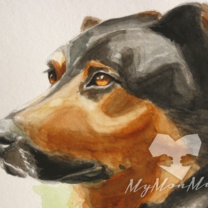 Rottweiler portré - Akvarell festmény - művészet - festmény - akvarell - Meska.hu