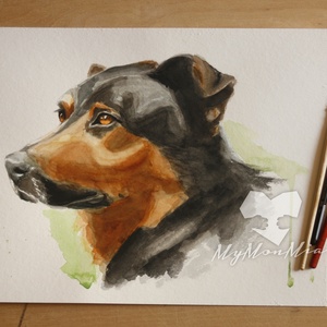 Rottweiler portré - Akvarell festmény - Meska.hu
