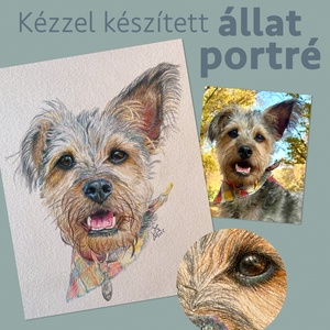 Kézzel készített állat portré, kutya, cica, ló, vadászgörény, papagáj, Művészet, Grafika & Illusztráció, Ceruzarajz, Fotó, grafika, rajz, illusztráció, MESKA