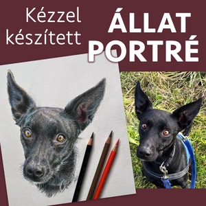 Kézzel készített állat portré, kutya, cica, ló, vadászgörény, papagáj, Művészet, Grafika & Illusztráció, Ceruzarajz, Fotó, grafika, rajz, illusztráció, MESKA