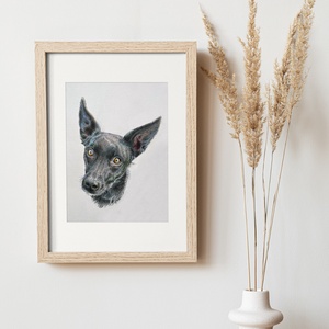 Kézzel készített állat portré, kutya, cica, ló, vadászgörény, papagáj - művészet - grafika & illusztráció - ceruzarajz - Meska.hu