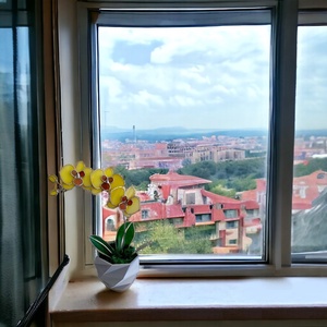Örökké virágzó üveg orchidea - otthon & életmód - dekoráció - virágdísz és tartó - csokor & virágdísz - Meska.hu