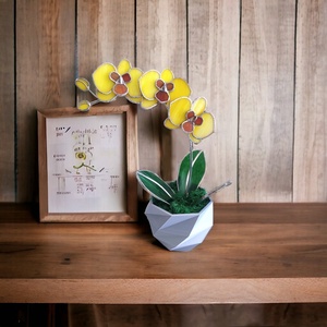 Örökké virágzó üveg orchidea - otthon & életmód - dekoráció - virágdísz és tartó - csokor & virágdísz - Meska.hu