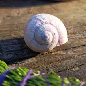 Füstölő készlet négylevelű lóherével készült amulettel - otthon & életmód - dekoráció - spiritualitás - füstölő és füstölőtartó - Meska.hu