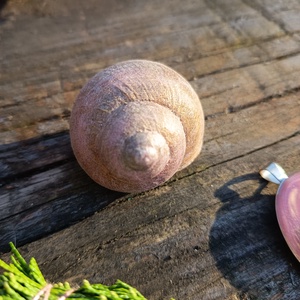 Füstölő készlet négylevelű lóherével készült amulettel , Otthon & Életmód, Dekoráció, Asztal és polc dekoráció, Asztaldísz, Virágkötés, MESKA