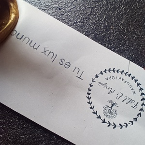 Szerencsehozó amulett négylevelű lóherével  - ékszer - nyaklánc - medál - Meska.hu