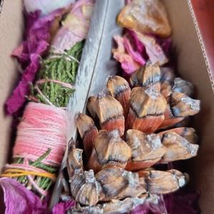 Cédrus füstölő csomag  - otthon & életmód - dekoráció - spiritualitás - füstölő és füstölőtartó - Meska.hu