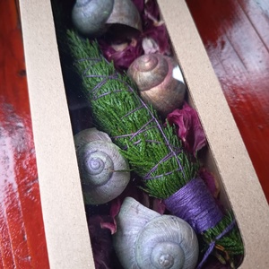 Cédrus füstölő csomag  - Meska.hu