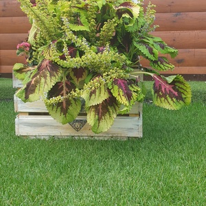 Virágtartó Láda fából - otthon & életmód - ház & kert - virágláda, balkonláda - Meska.hu