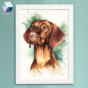Vizsla portré - akvarell festményről készült nyomat / reprodukció  - művészet - grafika & illusztráció - művészi nyomat - Meska.hu