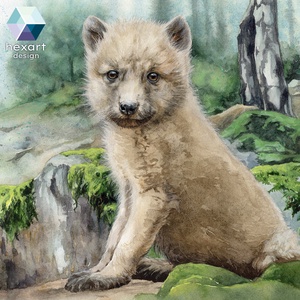 Farkaskölyök - akvarell festményről készült nyomat / reprodukció, több méretben - művészet - grafika & illusztráció - művészi nyomat - Meska.hu