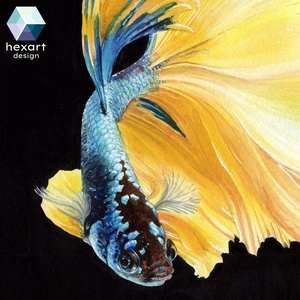 Sziámi harcoshal/Betta splendens - eredeti akvarell/gouache festmény - művészet - festmény - akvarell - Meska.hu
