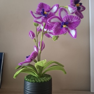 Orchidea kaspóval - Meska.hu