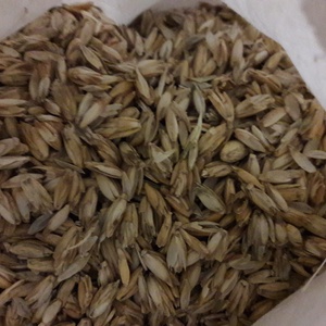 Tönkölypelyva párna. - otthon & életmód - lakástextil - ágynemű - Meska.hu