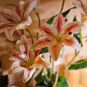 Liliom asztaldísz cserépben � gondozásmentes - otthon & életmód - dekoráció - virágdísz és tartó - csokor & virágdísz - Meska.hu