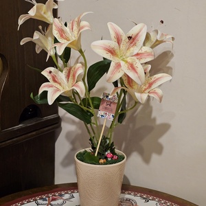 Liliom asztaldísz cserépben � gondozásmentes, Otthon & Életmód, Dekoráció, Virágdísz és tartó, Virágdíszek, Asztali virágdísz, Virágkötés, Mindenmás, MESKA