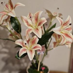 Liliom asztaldísz cserépben � gondozásmentes - otthon & életmód - dekoráció - Meska.hu