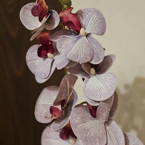 Orchidea -gondozásmentes  - otthon & életmód - virágdekoráció - virágdíszek - asztali virágdísz - Meska.hu