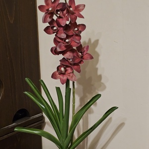 Orchidea -gondozásmentes , Otthon & Életmód, Virágdekoráció, Virágdíszek, Asztali virágdísz, , MESKA