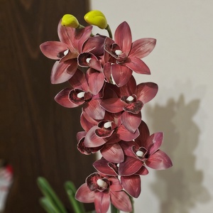 Orchidea -gondozásmentes  - otthon & életmód - virágdekoráció - virágdíszek - asztali virágdísz - Meska.hu
