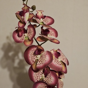 Orchidea -gondozásmentes  - otthon & életmód - virágdekoráció - virágdíszek - virágdísz kaspóban - Meska.hu