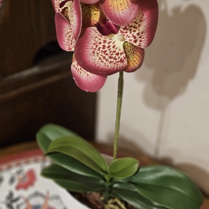 Orchidea -gondozásmentes  - otthon & életmód - virágdekoráció - virágdíszek - virágdísz kaspóban - Meska.hu