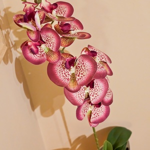 Orchidea -gondozásmentes  - otthon & életmód - virágdekoráció - virágdíszek - virágdísz kaspóban - Meska.hu
