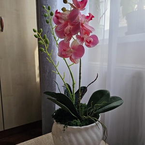 Prémium gumiorchidea - Meska.hu