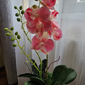 Prémium gumiorchidea - otthon & életmód - virágdekoráció - virágdíszek - virágdísz kaspóban - Meska.hu