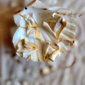 Ezüst Balaton - Meska.hu