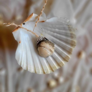 Ezüstös grafit  - Meska.hu