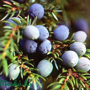 BORÓKA 100 % tisztaságú illóolaj 10 ml - kellékek & szerszámok - kozmetikai alapanyag - illóolajok - Meska.hu