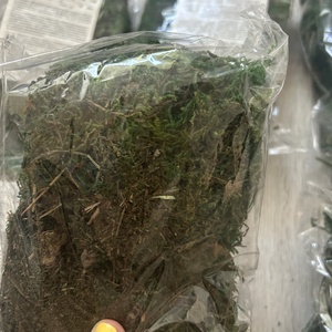 Szárított moha - Új - kellékek & szerszámok - dekorációs kellékek - egyéb kellékek - Meska.hu