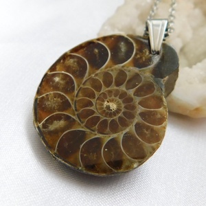 Ammonitesz medál acél láncon - ékszer - nyaklánc - medálos nyaklánc - Meska.hu