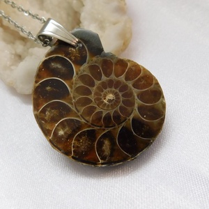 Ammonitesz medál acél láncon, Ékszer, Nyaklánc, Medálos nyaklánc, Ékszerkészítés, Ötvös, MESKA