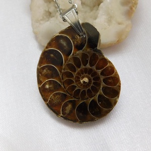 Ammonitesz medál acél láncon - ékszer - nyaklánc - medálos nyaklánc - Meska.hu