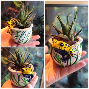 Béka virágtartó, Otthon & Életmód, Virágdekoráció, Virágtartó, Függő virágtartó, Gipszöntés, MESKA