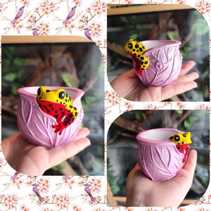 Béka virágtartó - otthon & életmód - virágdekoráció - virágtartó - függő virágtartó - Meska.hu