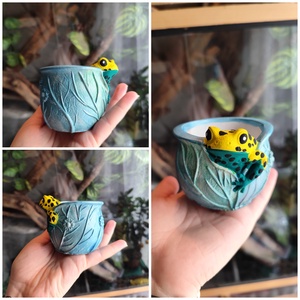 Béka virágtartó - otthon & életmód - virágdekoráció - virágtartó - függő virágtartó - Meska.hu