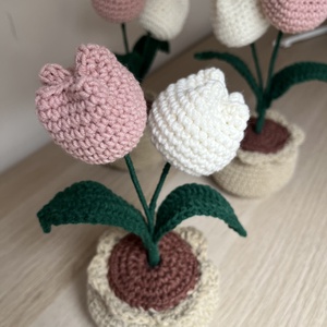 Cserepes tulipán  - Meska.hu