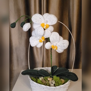 Horgolt orchidea, Otthon & Életmód, Dekoráció, Virágdísz és tartó, Kaspó, Virágtartó, Horgolás, MESKA
