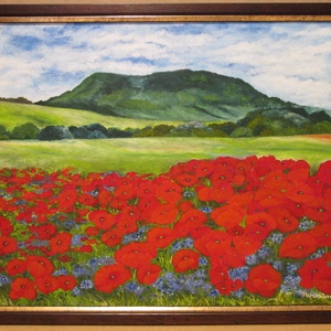 Balaton-felvidék , Olajfestmény keretben - Meska.hu