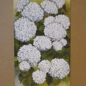 Hortenziák , Festmény, Művészet, Festmény, Akril, Festészet, Festett tárgyak, MESKA