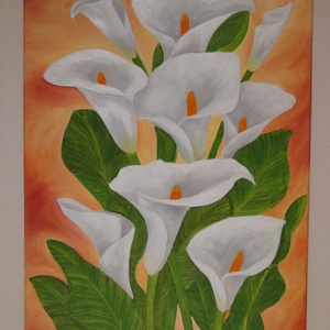 Fehér Kálák , Olajfestmény, Művészet, Festmény, Olajfestmény, Festészet, Festett tárgyak, 
Eredeti, kézzel festett, szignózott, saját alkotás Fehér kálák című olajfestmény.
Anyaga: olajfest..., MESKA