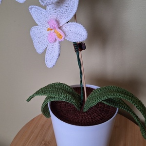 Horgolt orchidea kaspóban - fehér - otthon & életmód - dekoráció - dísztárgy - Meska.hu