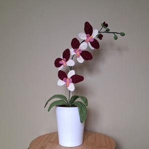 Horgolt orchidea kaspóban - bordó / fehér, Otthon & Életmód, Dekoráció, Dísztárgy, Horgolás, MESKA