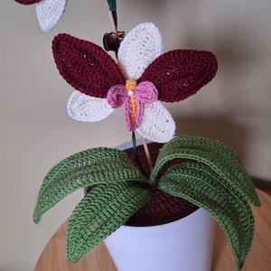 Horgolt orchidea kaspóban - bordó / fehér - otthon & életmód - dekoráció - dísztárgy - Meska.hu