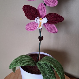 Horgolt orchidea kaspóban - bordó / rózsaszín - otthon & életmód - dekoráció - dísztárgy - Meska.hu