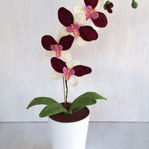 Horgolt orchidea kaspóban - bordó / fehér - Meska.hu