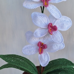 Horgolt orchidea kaspóban - fehér - otthon & életmód - dekoráció - dísztárgy - Meska.hu